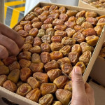 আলকাচিমে সুক্কারি মালিকি 3 kg